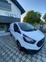 Ford Transit Custom Kasten 2,0 TDCi L2H1 320 Ambiente Weiß - thumbnail 2