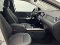 Mercedes-Benz B 200 Progressive Multibeam Kamera Ambiente AHK Weiß - thumbnail 12