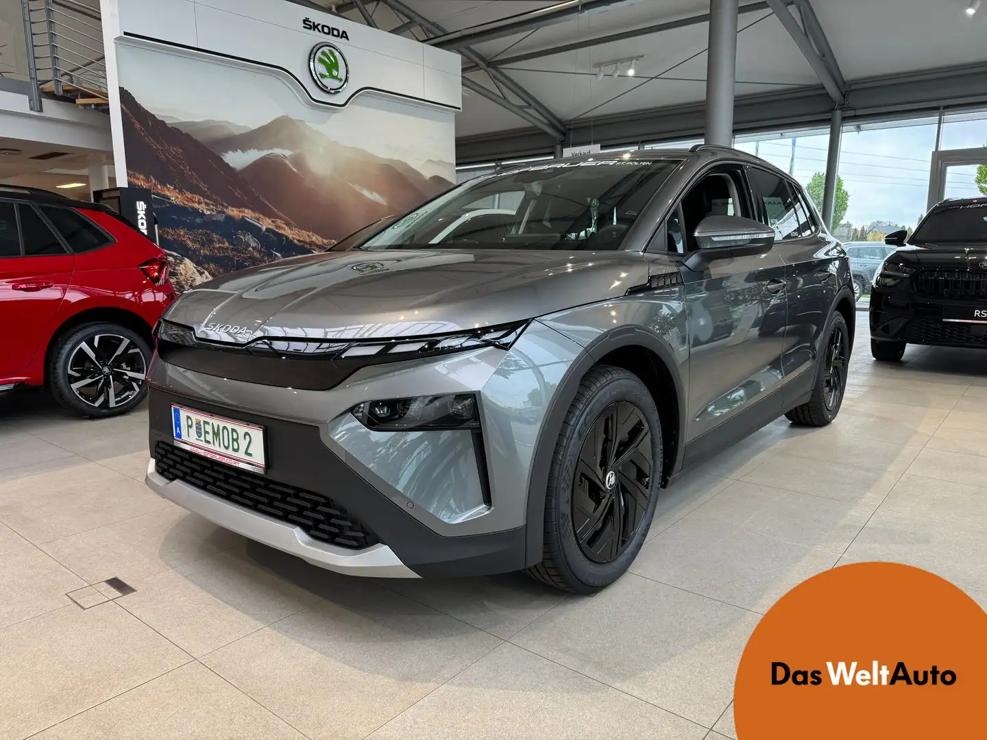 Skoda Elroq 50 Grau - 1