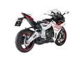 Zontes 703RR Bianco - thumbnail 5