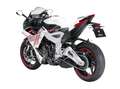 Zontes 703RR Bianco - thumbnail 4