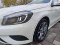 Mercedes-Benz A 180 Classe A - W176 cdi (be) Sport Weiß - thumbnail 15