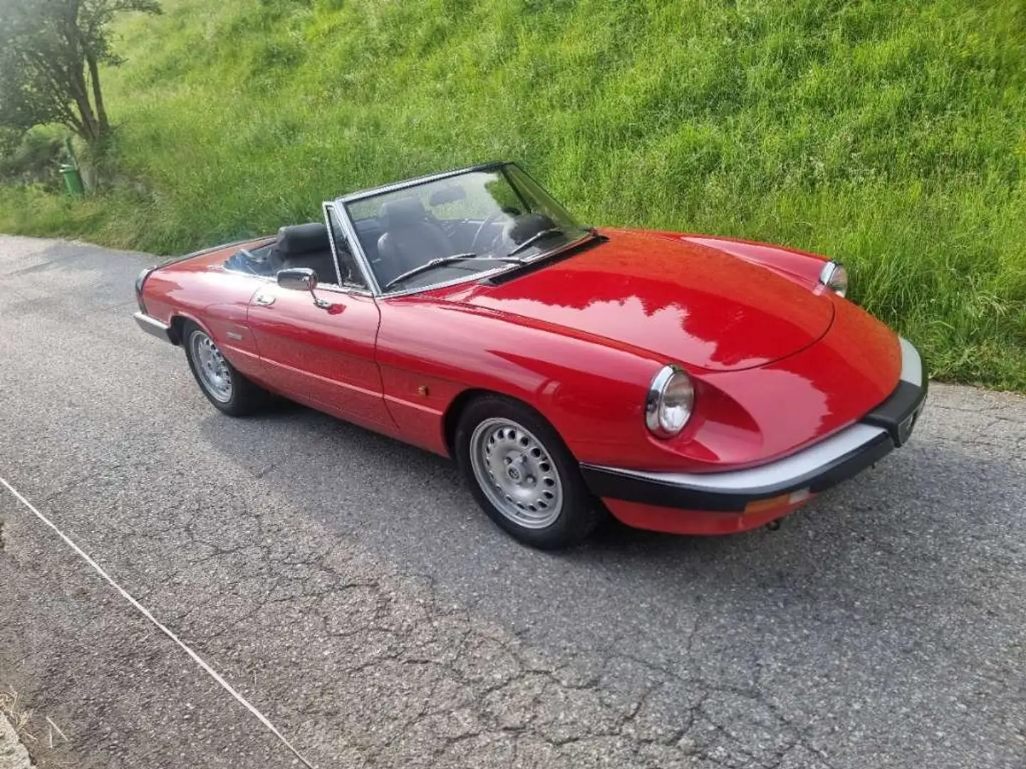 Alfa Romeo Spider Rot - 1