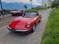 Alfa Romeo Spider Rot - thumbnail 12