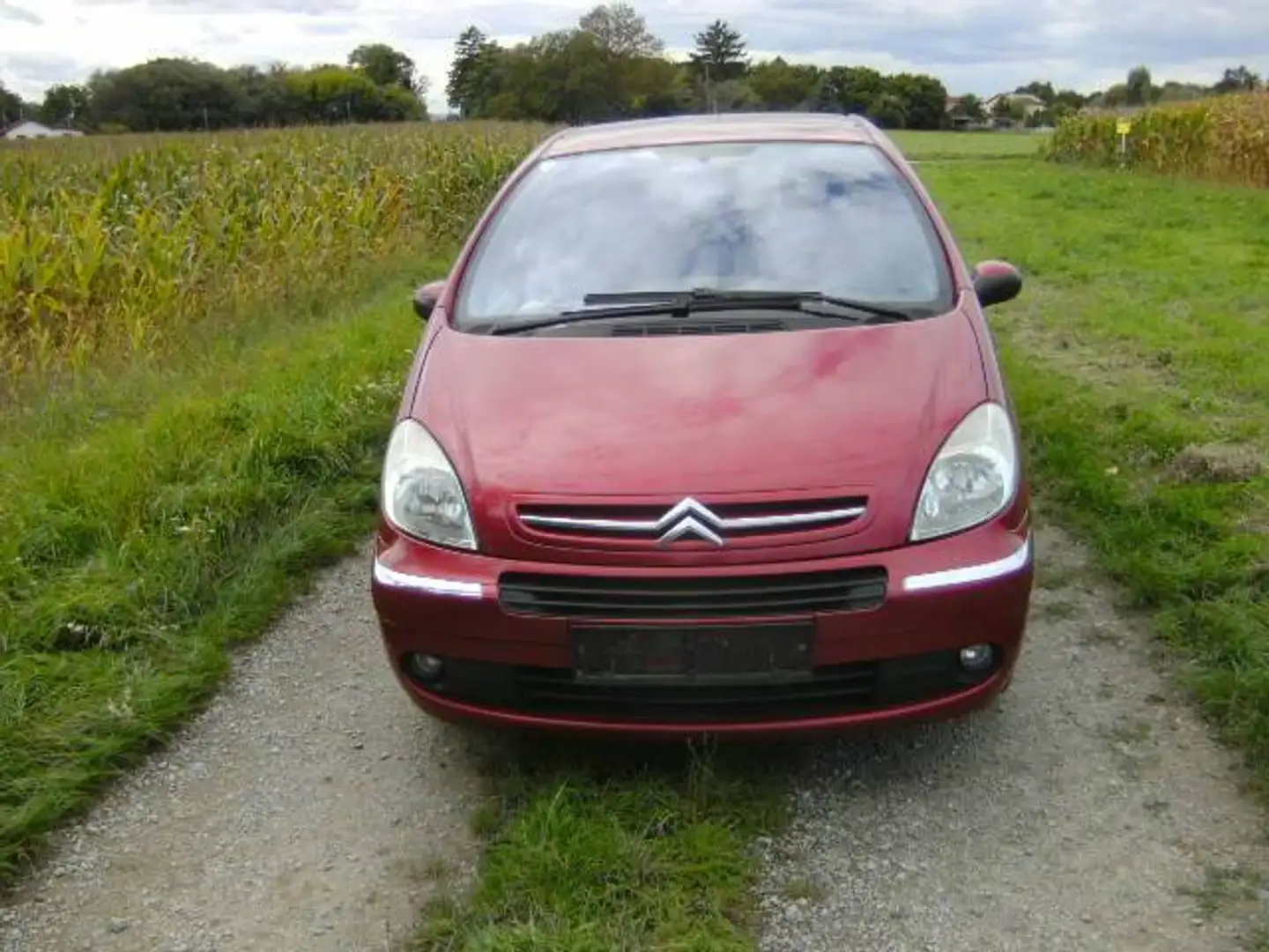 Citroen Xsara Picasso Xsara Picasso 1,6i Millionaire Millionaire Rot - 1