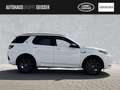 Land Rover Discovery Sport D200 AWD R-Dynamic SE Automatik Weiß - thumbnail 6