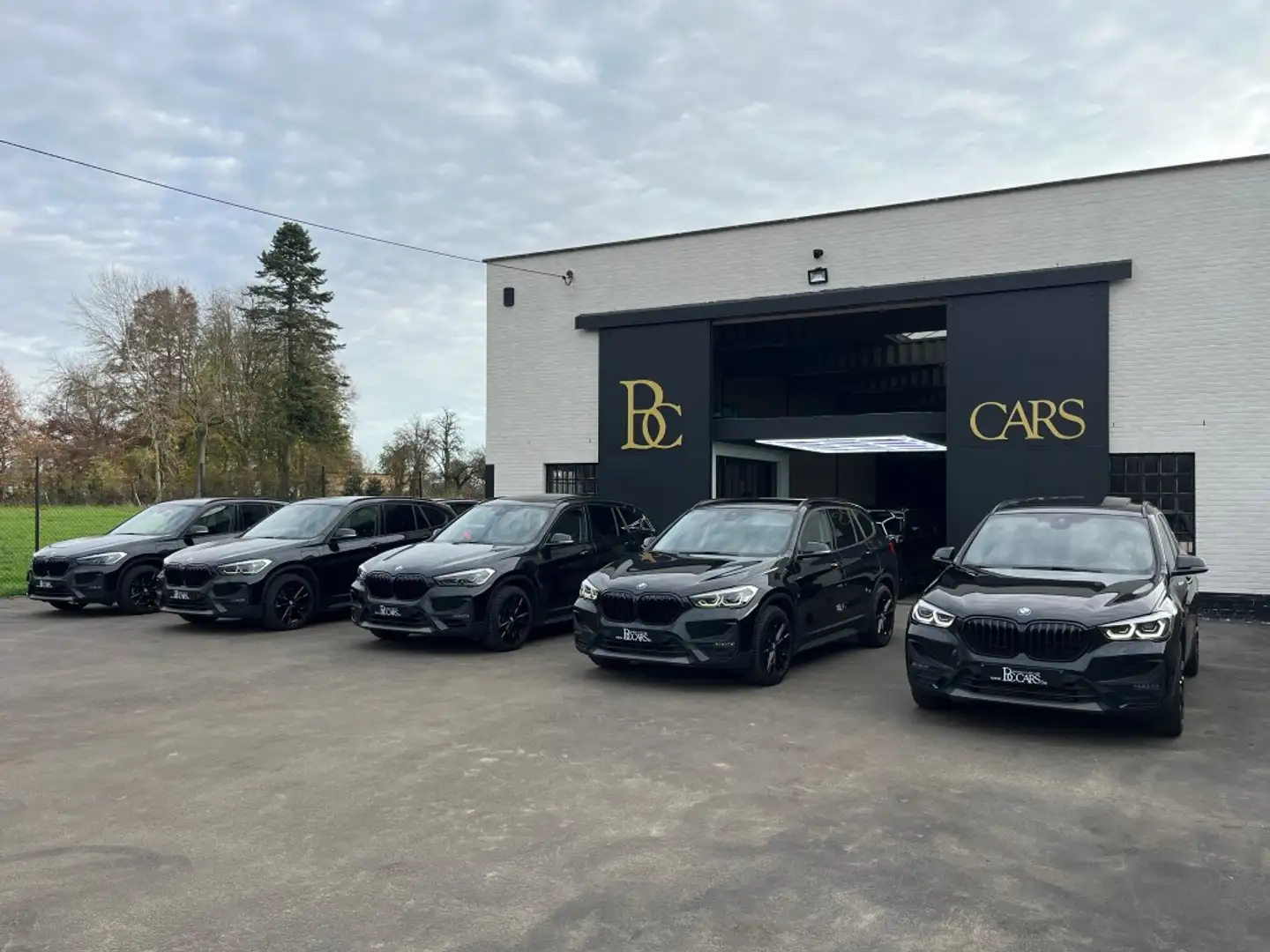 BMW X2 Xdrive 25e Led-Navi Prof-Leer-Zetelverw-Cam-19" Zwart - 1