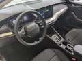 Skoda Octavia Selection TDI DSG Weiß - thumbnail 8
