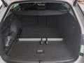 Skoda Octavia Selection TDI DSG Weiß - thumbnail 11