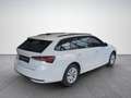 Skoda Octavia Selection TDI DSG Weiß - thumbnail 5