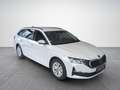 Skoda Octavia Selection TDI DSG Weiß - thumbnail 6