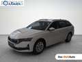 Skoda Octavia Selection TDI DSG Weiß - thumbnail 1