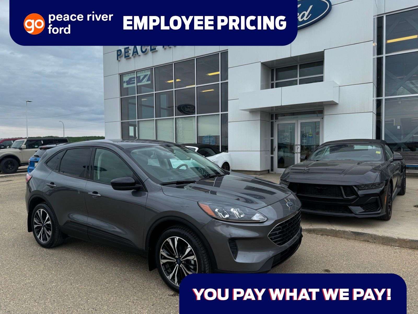2022 Ford Escape SE Hybrid AWD