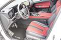 Lexus NX 450h+ E-FOUR F SPORT-Paket Bílá - thumbnail 8