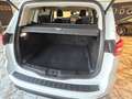 Ford S-Max Titanium AWD-Allrad Weiß - thumbnail 6