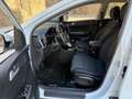 Kia Sportage 1.6 CRDi MHEV Drive 4x2 136 Bianco - thumbnail 14