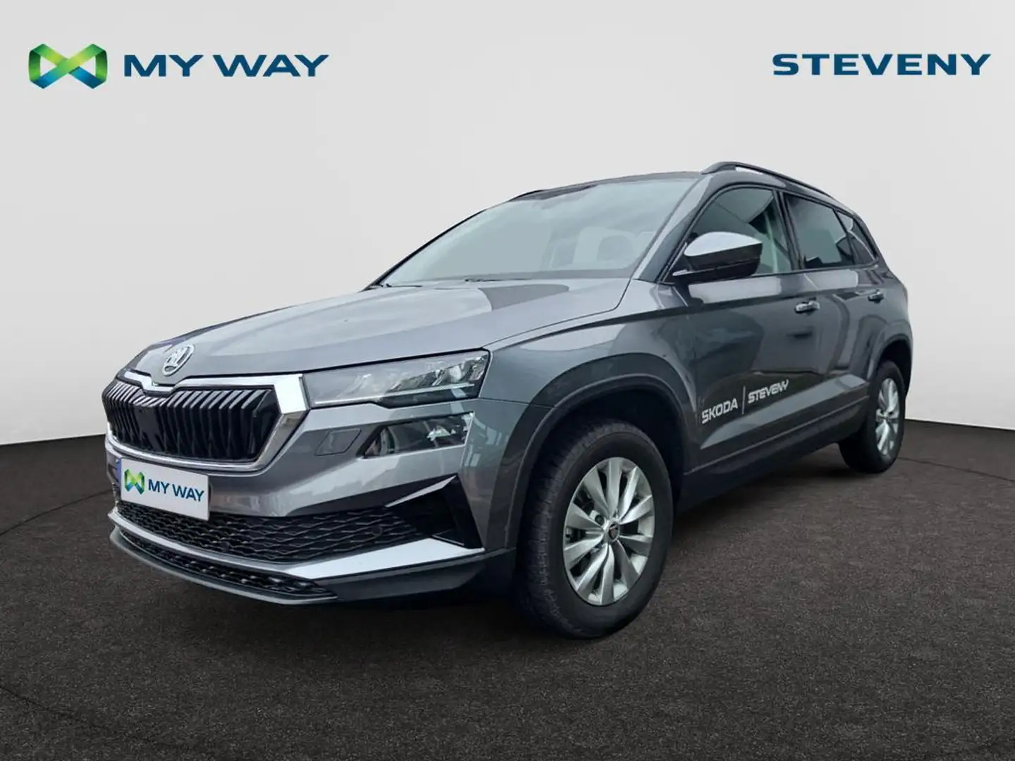 Skoda Karoq Karoq Family 1.5 TSI 110kW (150ch) DSG7 Gris - 1