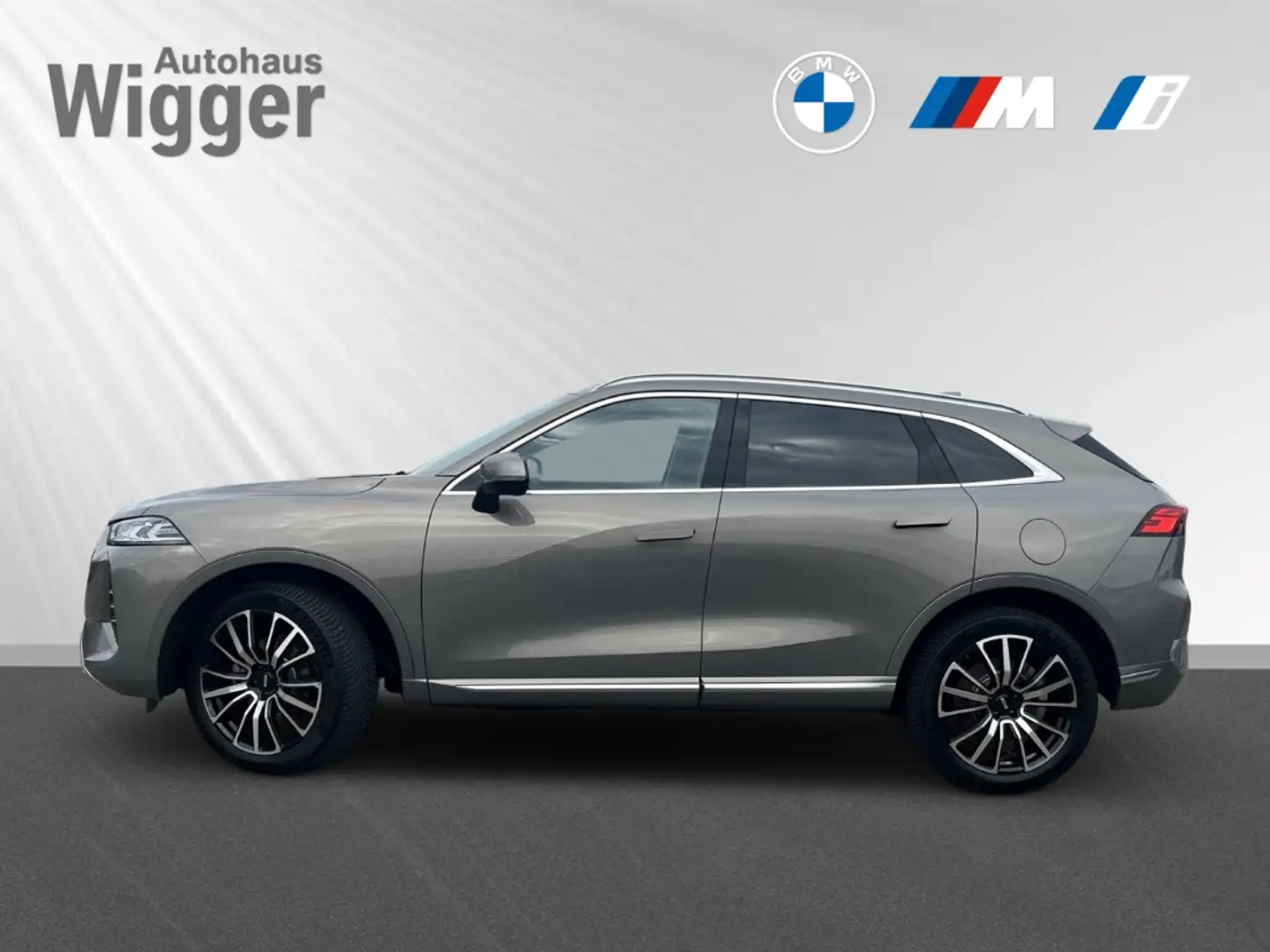 Wey Coffee 01 2.0 PHEV 350 kW AWD Premium Gri - 2