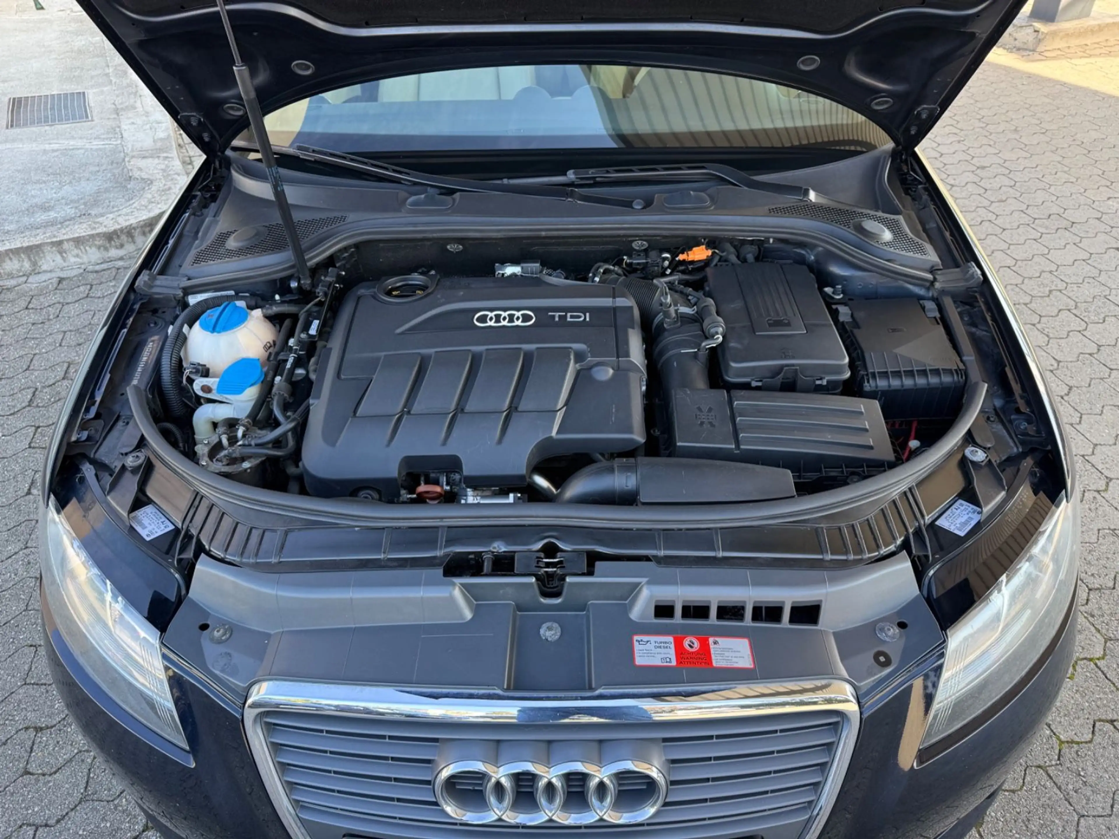 Audi A3 Cabriolet Tüv neu Leder SHZ — photo 6