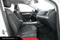 Audi Q5 Sportback 40 TDI quattro S tronic Business Advanc Bianco - thumbnail 8