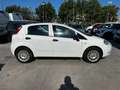 Fiat Grande Punto Grande Punto 5p 1.2 Actual s Weiß - thumbnail 7