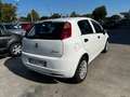 Fiat Grande Punto Grande Punto 5p 1.2 Actual s Weiß - thumbnail 4
