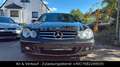 Mercedes-Benz CLK 350 CLK Cabrio CLK 350 Schwarz - thumbnail 2