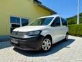 Volkswagen Caddy 2.0 TDI DSG Klima-Tempomat-PDC Weiß - thumbnail 2