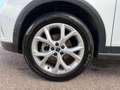 SEAT Arona Arona 2022 1.0 ecotsi FR 95cv Weiß - thumbnail 6