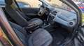 Fiat Punto Evo 3p 1.4 Active Gpl 77cv - thumbnail 12