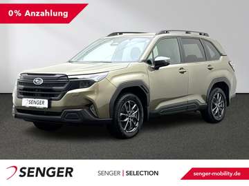 2.0ie AWD Active Kamera 360 AHK