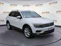 Volkswagen Tiguan Tiguan 2.0 TDI SCR DSG 4MOTION Advanced BMT Bianco - thumbnail 1