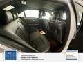 Mercedes-Benz E 220 CDI BlueEfficiency 1 Hand Срібний - thumbnail 21