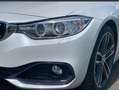 BMW 420 d Cent Exec Wit - thumbnail 9