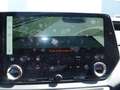 Lexus RX 450h Lexus RX 450h+ E-four F-Sport Design 18,1kWh Aut. Schwarz - thumbnail 29