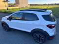 Ford EcoSport EcoSport 2018 1.0 ecoboost Active s Blanc - thumbnail 14