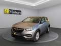 Opel Grandland X 1.5 ecotec 130 Cv Business Edition PROSSIMO ARRIVO Grigio - thumbnail 1