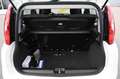 Fiat Panda 1.0 FireFly S&S Hybrid Bianco - thumbnail 5