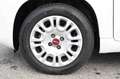 Fiat Panda 1.0 FireFly S&S Hybrid Bianco - thumbnail 6