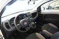 Fiat Panda 1.0 FireFly S&S Hybrid Bianco - thumbnail 8