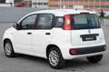Fiat Panda 1.0 FireFly S&S Hybrid Bianco - thumbnail 4