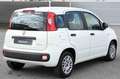 Fiat Panda 1.0 FireFly S&S Hybrid Bianco - thumbnail 3