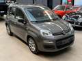 Fiat Panda 1.0 FireFly S&S Hybrid *NO OBBLIGO FINANZIAMENTO* Gris - thumbnail 3