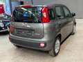 Fiat Panda 1.0 FireFly S&S Hybrid *NO OBBLIGO FINANZIAMENTO* Gris - thumbnail 4