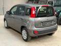 Fiat Panda 1.0 FireFly S&S Hybrid *NO OBBLIGO FINANZIAMENTO* Gris - thumbnail 6