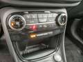 Ford Puma 1.0 ST-Line X Berry Edition *LED*NAVI*KAMERA*DCT* - thumbnail 20
