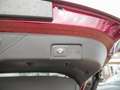 Ford Puma 1.0 ST-Line X Berry Edition *LED*NAVI*KAMERA*DCT* - thumbnail 6