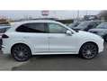 Porsche Cayenne 3.0 V6 TDI 262cv Tiptronic Origine France Blanc - thumbnail 3