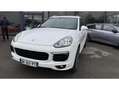 Porsche Cayenne 3.0 V6 TDI 262cv Tiptronic Origine France Blanc - thumbnail 1