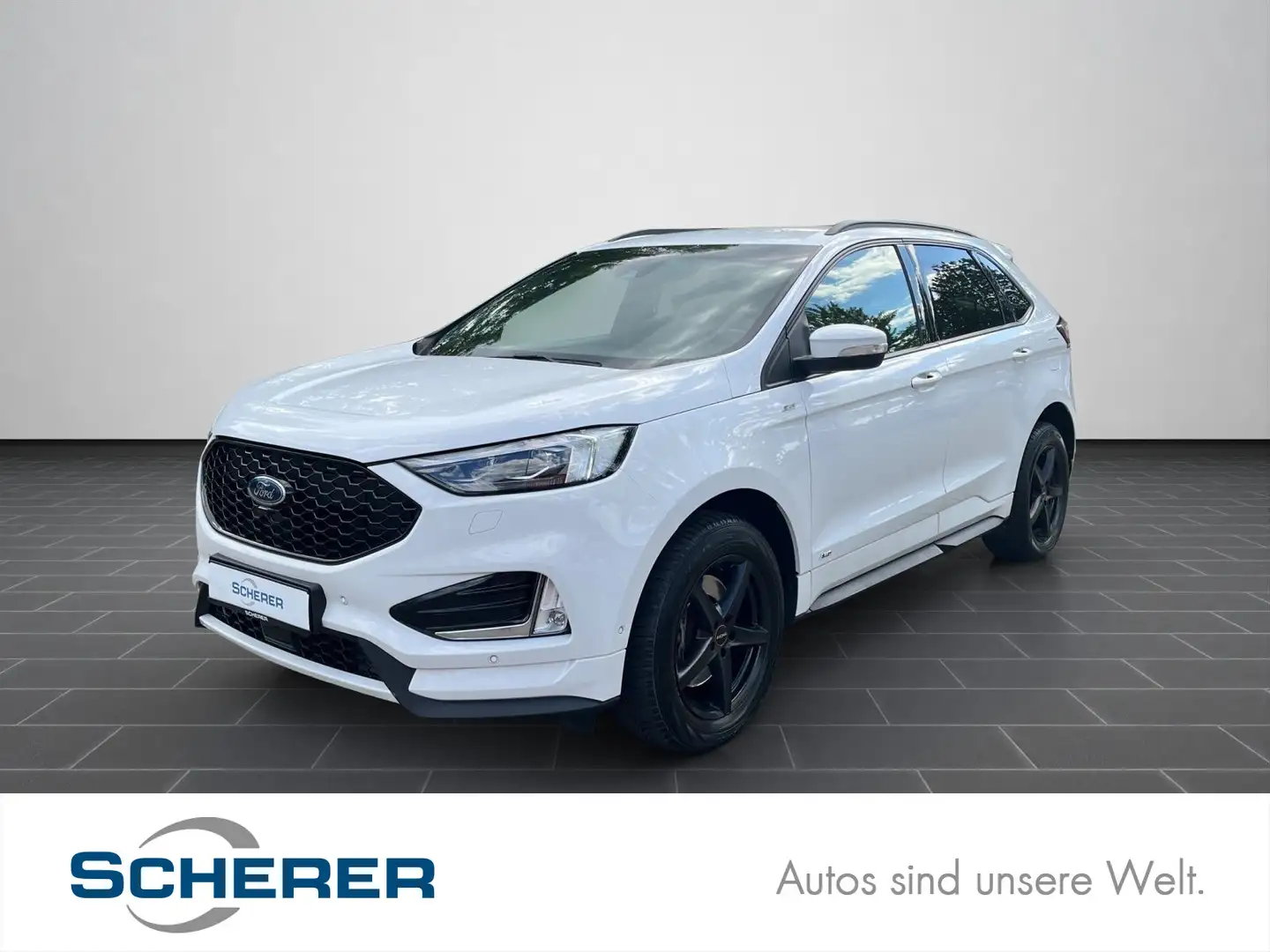 Ford Edge 2.0 EcoBlue ST-Line 4x4 /AHK/Matrix Alb - 1